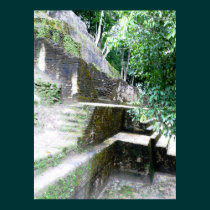 The Mayan Angle posters