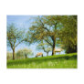 The Meadow Postcard