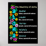 The Meaning of Aloha Poster