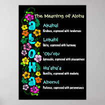 The Meaning of Aloha Poster