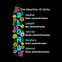 The Meaning of Aloha posters