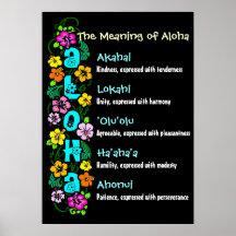 The Meaning of Aloha Poster