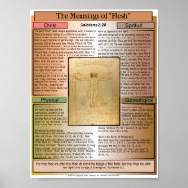 The meaning of "Flesh" Print