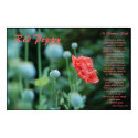 The Meaning of the Red Poppy posters