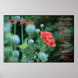 The Meaning of the Red Poppy posters