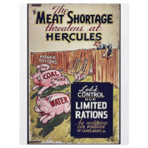 The Meat Storage flyers