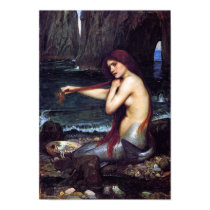The Mermaid Poster posters by IrishPirateQueen The Mermaid Poster posters