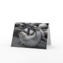 The Mermaid Seal cards