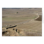The Meseta Card