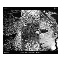 The Metamorphic Drift [SilverGloss] Limited Prints
