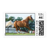 The Midas Touch postage