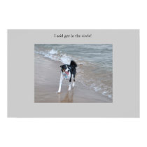 The mighty Collie posters by zachw945 The mighty Collie posters