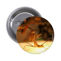 The mighty mantis buttons