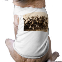 The Mighty Sioux pet clothing by scenesfromthepast The Mighty Sioux pet clothing