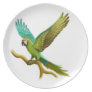 The Military Macaw Parrot Plate