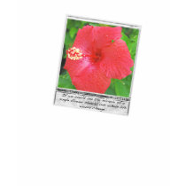 The miracle flower t-shirts
