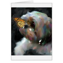 the miracle.jpg cards
