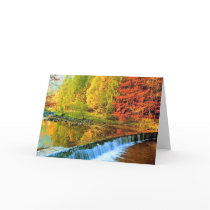 THE MIRACLE OF AUTUMN cards