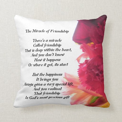 The Miracle of Friendship Poem pillow Zazzle