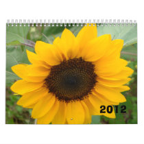 The Miss Molly Photography 2012 Calendar