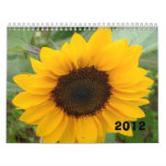 The Miss Molly Photography 2012 Calendar