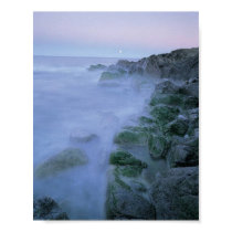 The Mist posters by Silverdragon The Mist posters