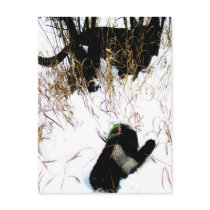 The Mitten Ukrainian Folk Tale postcards by perogies The Mitten Ukrainian Folk Tale postcards