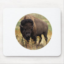 The Monarch Mouse Pads