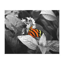 The Monarch - Wrapped Canvas