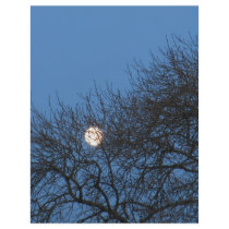 The moon flyers by A_Phoenix The moon flyers
