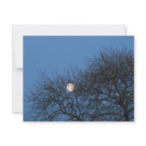 The moon invitations by A_Phoenix The moon invitations
