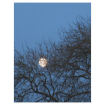 The moon letterhead by A_Phoenix The moon letterhead