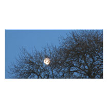 The moon picture card