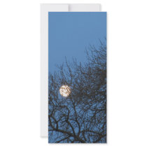 The moon rack cards by A_Phoenix The moon rack cards