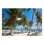 The Moorings Resort, Marathon, Key West, Photo Print