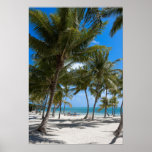 The Moorings Resort, Marathon, Key West, Posters
