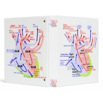 The more detailed heart english & japanese binder