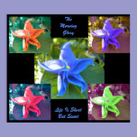 The Morning Glory Poster posters