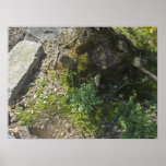 The moss giant's foot poster