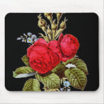 The Moss Rose - Vintage Fine Art Mouse Pad