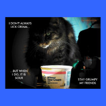 The Most Interesting Cat in the World posters