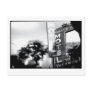 The Motel: 20th Century Obsolete Post Card