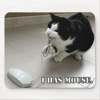 LOLcat mousepad LOLcat mousepad