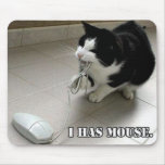 The Mouse Mouse Mats
