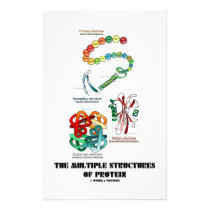 The Multiple Structures Of Protein (Biology) stationery