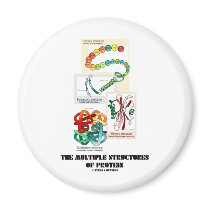 The Multiple Structures Of Protein magnets by wordsunwords The Multiple Structures Of Protein magnets