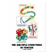 The Multiple Structures Of Protein Postcard