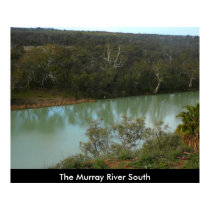 The Murray River Poster posters