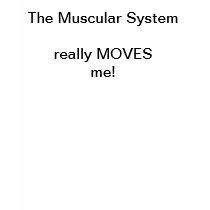 The Muscular System T-Shirt by Keartine The Muscular System T-Shirt