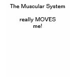 The Muscular System T-Shirt